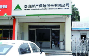 泰山保险公司电话,全方位服务，守护您的安心之选