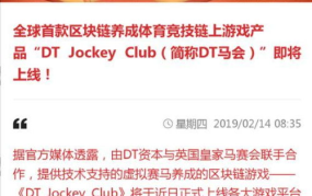 DT马会娱乐,揭秘马会娱乐的魅力与风采