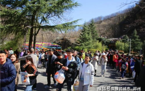 河南旅游团,河南旅游团带你领略千年文化之旅”