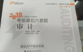 注册会计师代考,揭秘代考现象与风险