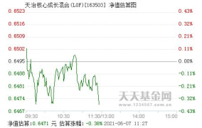 天治核心基金,稳健投资策略与长期增值之道
