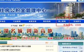 合肥住房公积金查询,多种途径轻松掌握个人公积金信息”