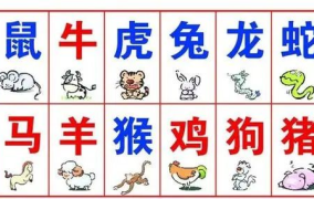 十二生肖配对,探寻十二生肖间的神秘缘分