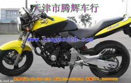 小黄蜂摩托车,“探索小黄蜂摩托车的经典传承与时尚革新”